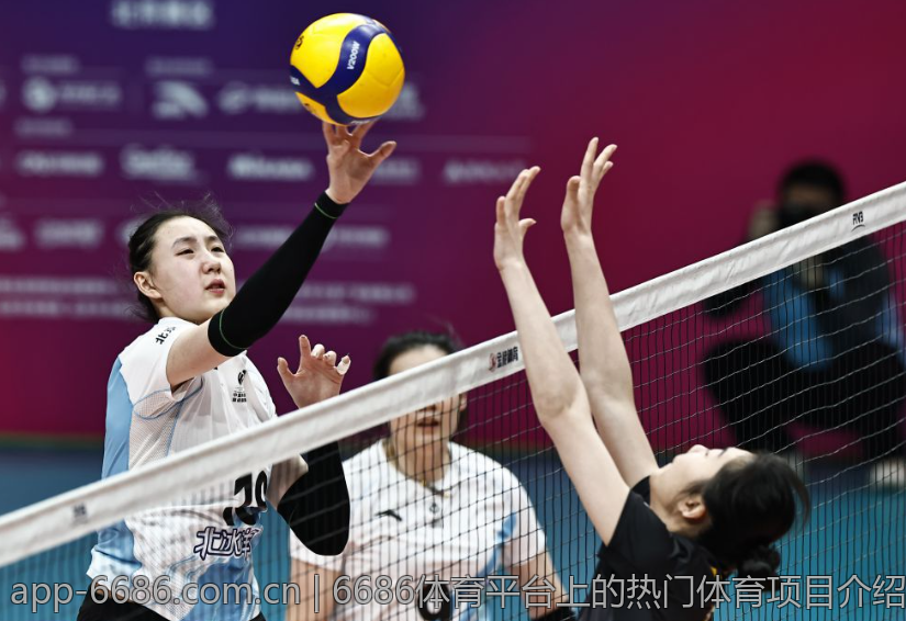 6686体育平台上的热门体育项目介绍